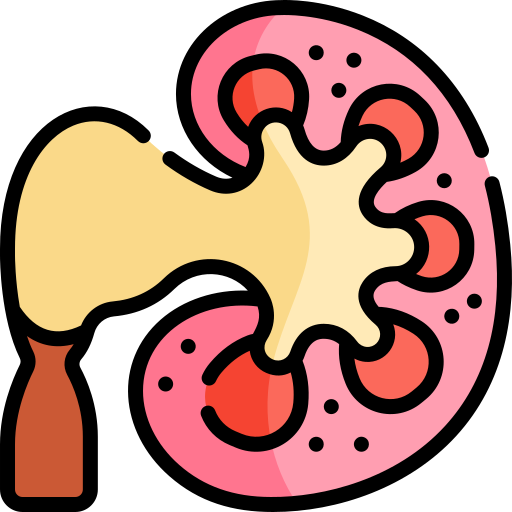 Hydronephrosis Kawaii Lineal color icon