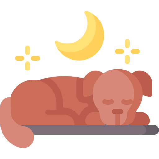 Dog sleep Special Flat icon