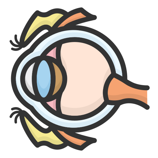 anatomía del ojo humano. Generic color lineal-color icono