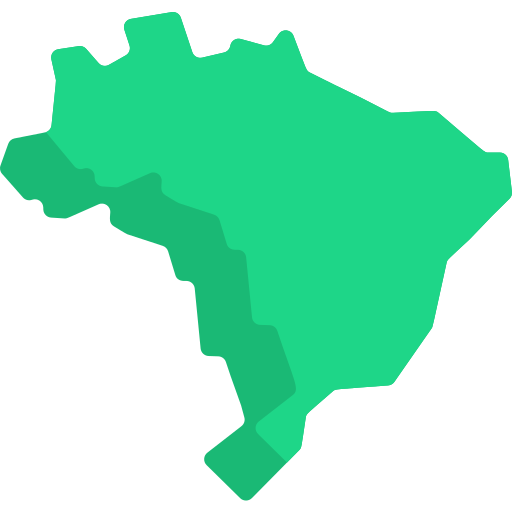 브라질 Special Flat icon