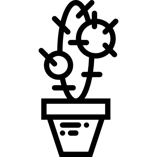 cactus Basic Miscellany Lineal icona