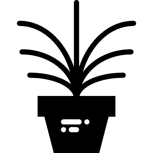 pianta Basic Miscellany Fill icona