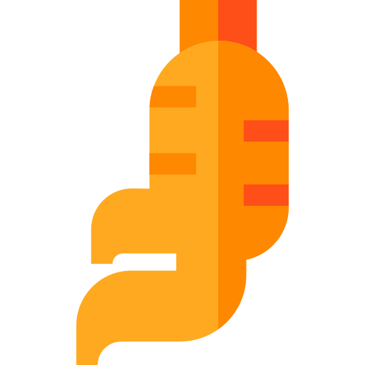 ginseng Basic Straight Flat icono