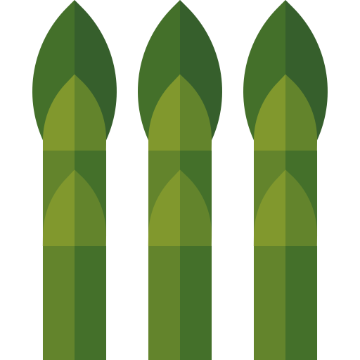 Asparagus Basic Straight Flat icon