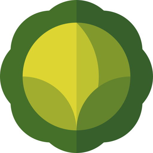 Cabbage Basic Straight Flat icon