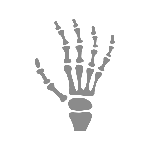 huesos Generic Others icono