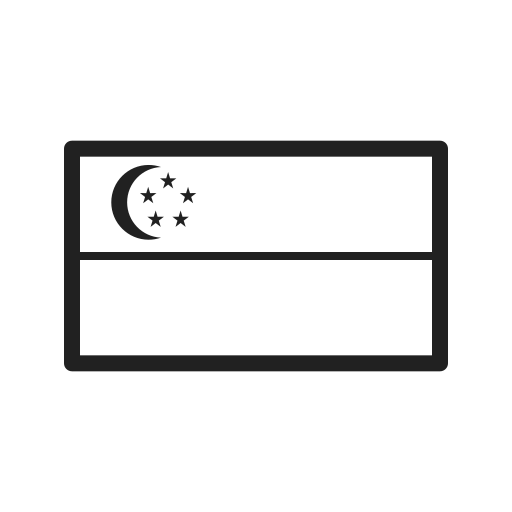 Flag Generic outline icon