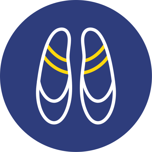 Ballet flat Generic color fill icon