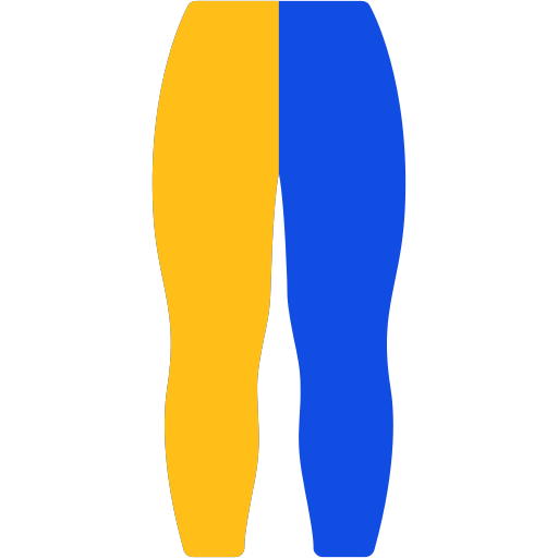 Leggings Generic color fill icon