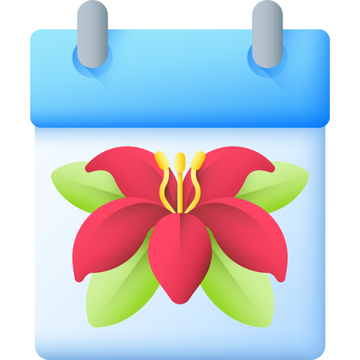 kalender 3D Color icon