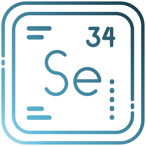 selen Generic gradient outline icon