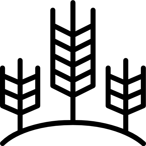 trigo Berkahicon Lineal icono