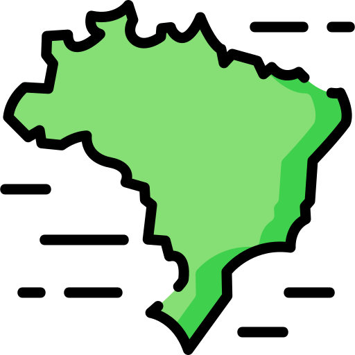 Brazil Special Lineal color icon