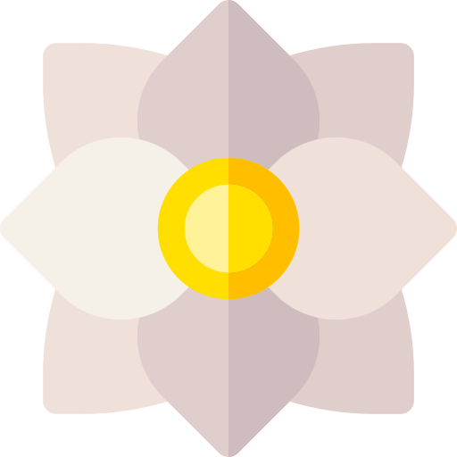 junquillo Basic Rounded Flat icono