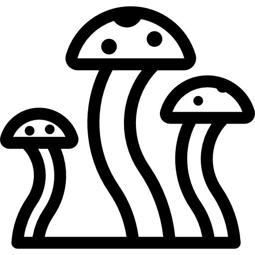 Грибы Yuttapong Lineal иконка