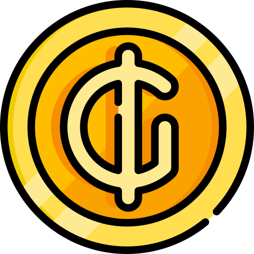 guarani Special Lineal color icona