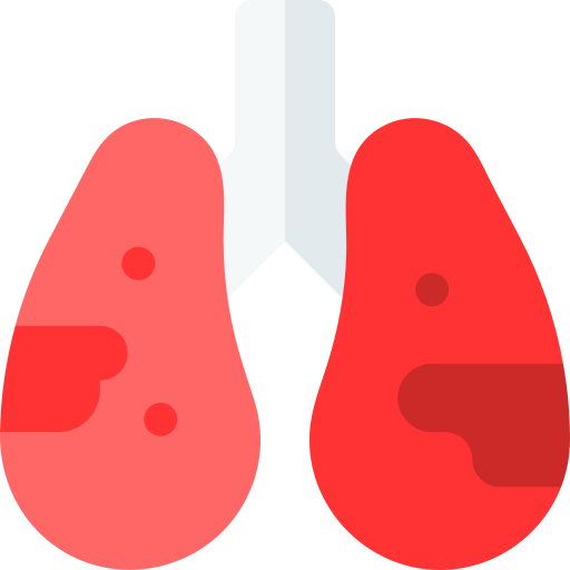肺 Basic Rounded Flat icon