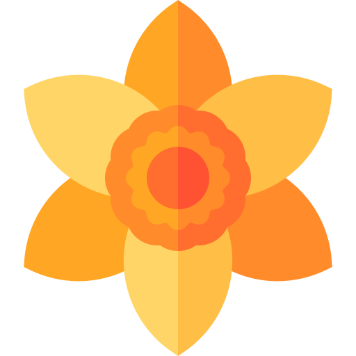 Narciso Basic Straight Flat icono