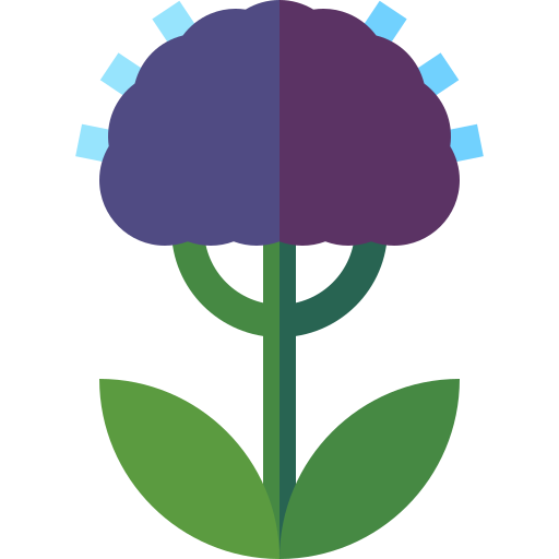 Trachelium Basic Straight Flat icono