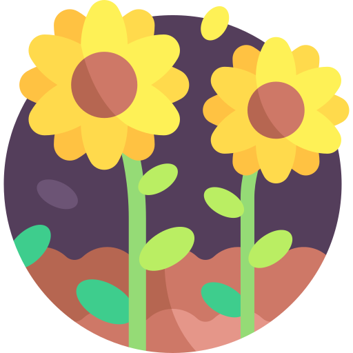 sonnenblume Detailed Flat Circular Flat icon