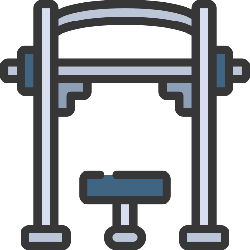 Weights Generic color lineal-color icon