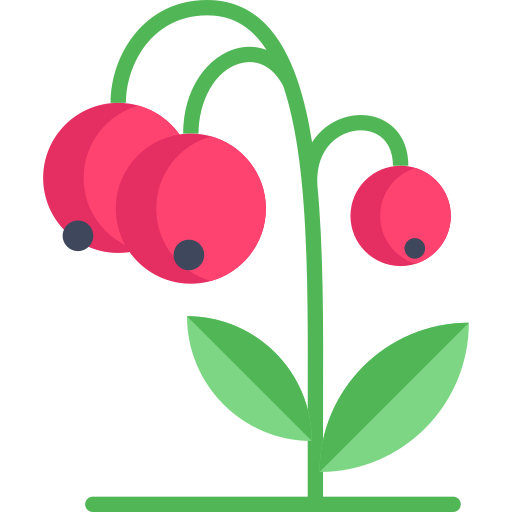 Berry Special Flat icon