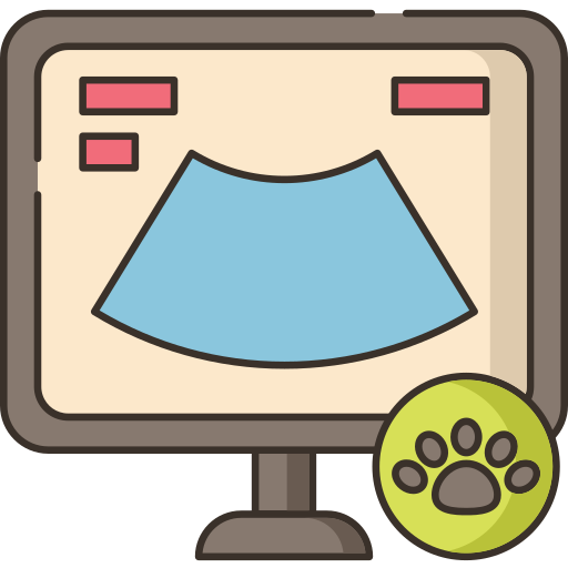 Ultrasound Flaticons Lineal Color icon