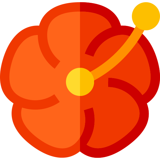 Hibiscus Basic Straight Flat icono