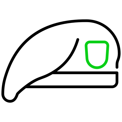 베레모 Generic color outline icon