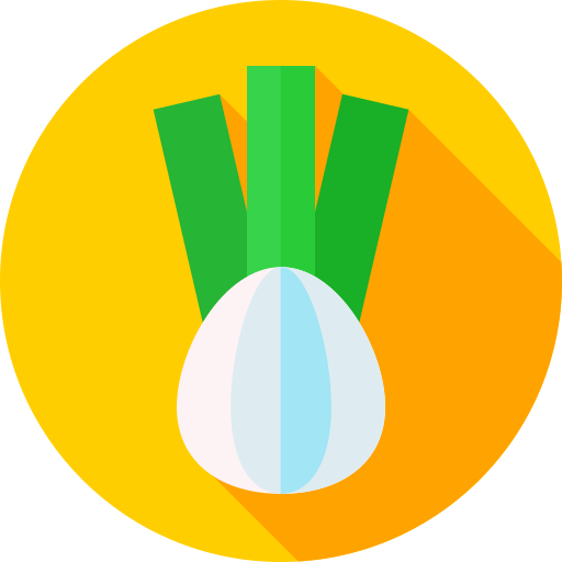 zwiebel Flat Circular Flat icon