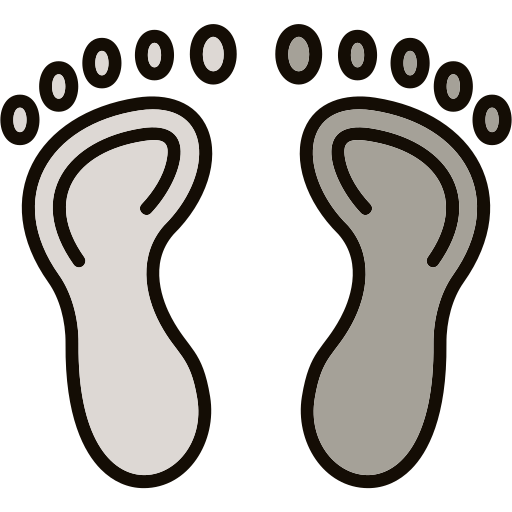Foot Generic color lineal-color icon