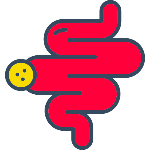intestino Generic color lineal-color icona