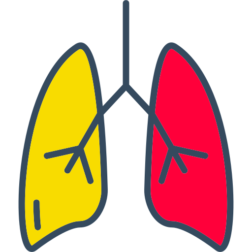 płuco Generic color lineal-color ikona