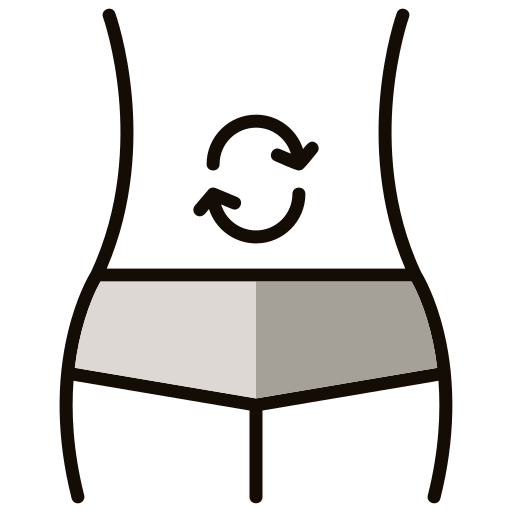 Belly Generic color lineal-color icon