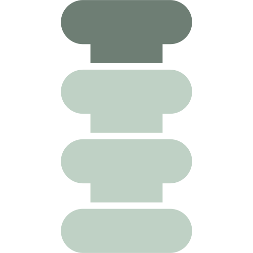 colonna vertebrale Generic color fill icona