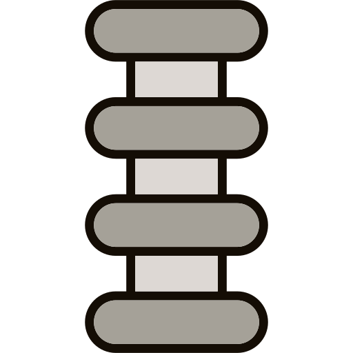 척추 Generic color lineal-color icon