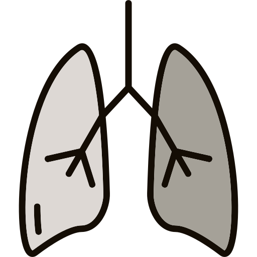 pulmón Generic color lineal-color icono