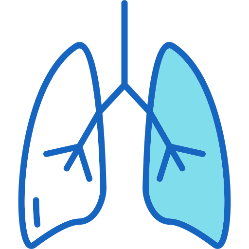 Lung Generic color lineal-color icon