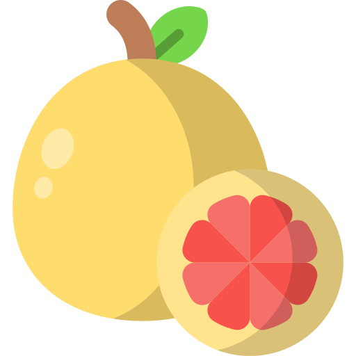 grapefruit Generic color fill icon