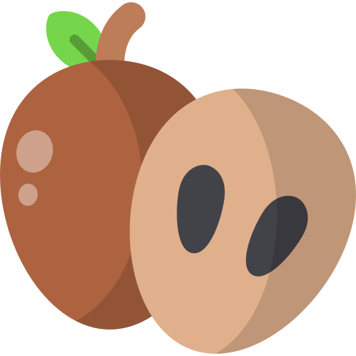 sapodilla Generic color fill icona