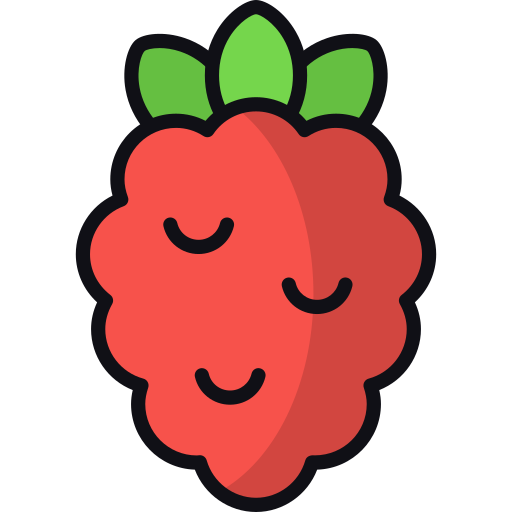 Raspberry Generic color lineal-color icon