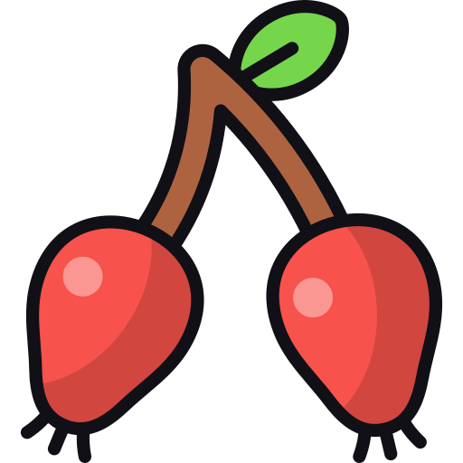 Rosehip Generic color lineal-color icon