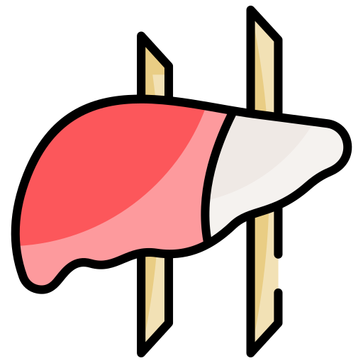 hígado Generic color lineal-color icono
