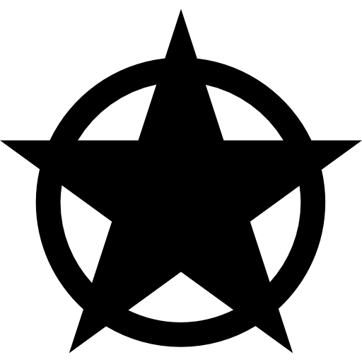 Star shape in a circle  icon