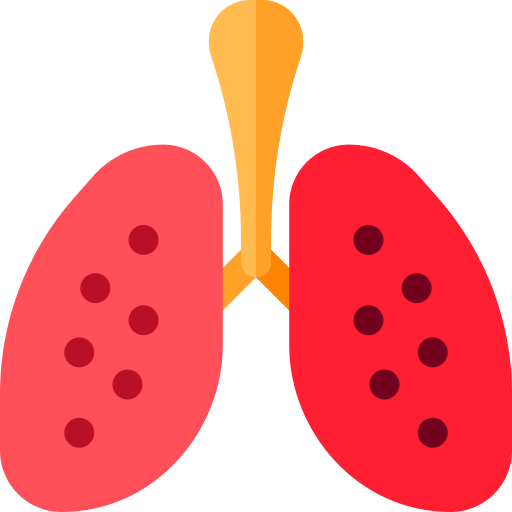 Lung Basic Rounded Flat icon