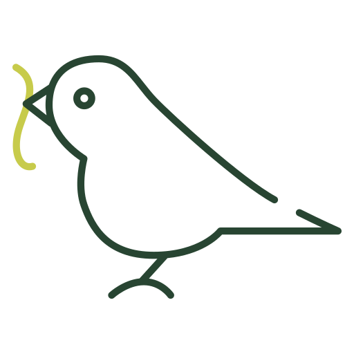 vogel Generic color outline icoon