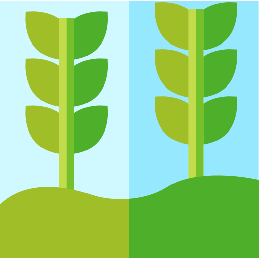 Plants Basic Straight Flat icon