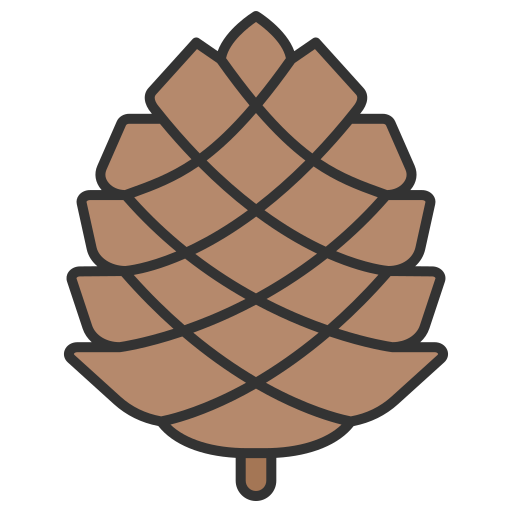 cono de pino Generic color lineal-color icono