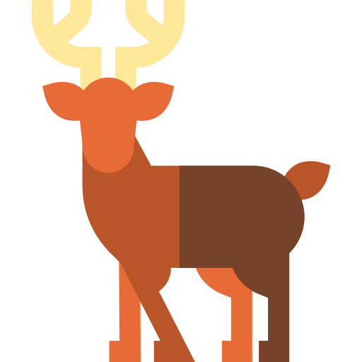 cervo Basic Straight Flat icona