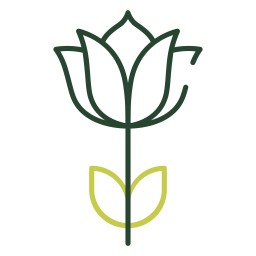 tulipán Generic color outline icono